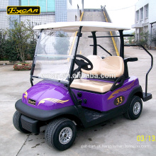 O CE aprovou o carro de golfe bonde do carro do buggy do golfe da bateria de Trojan de 2 seater mini carro de golfe feito sob encomenda